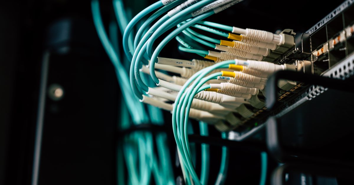 Network cables plugged into a switch, symbolizing connecting systems